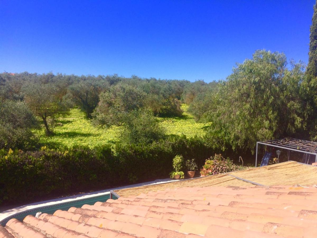 Villa Ferrer Sevilla Ginés Exteriér fotografie