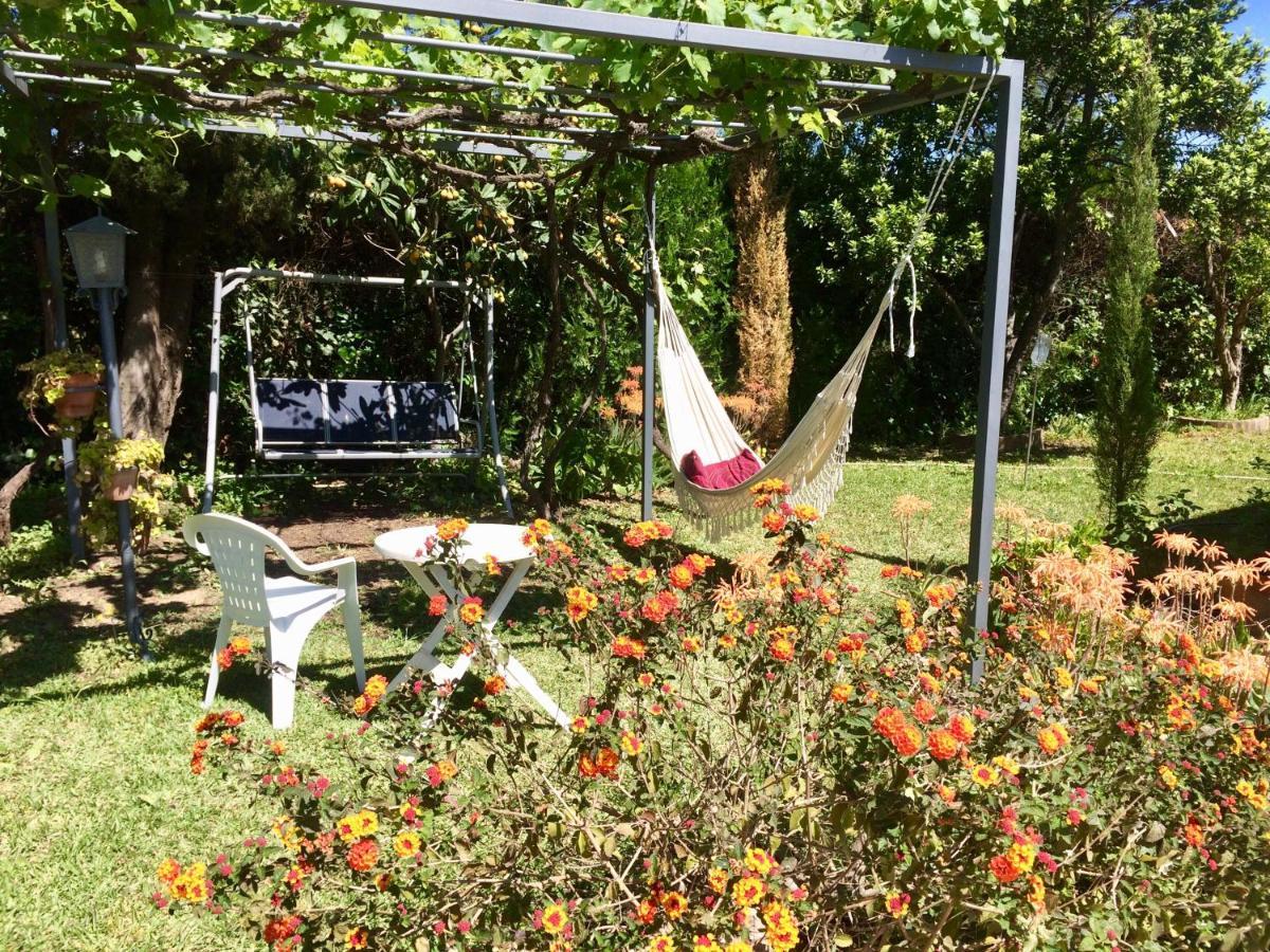 Villa Ferrer Sevilla Ginés Exteriér fotografie
