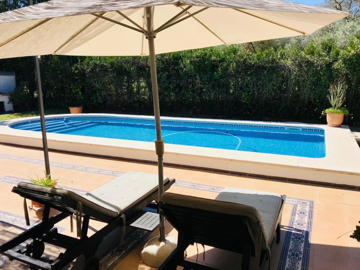 Villa Ferrer Sevilla Ginés Exteriér fotografie