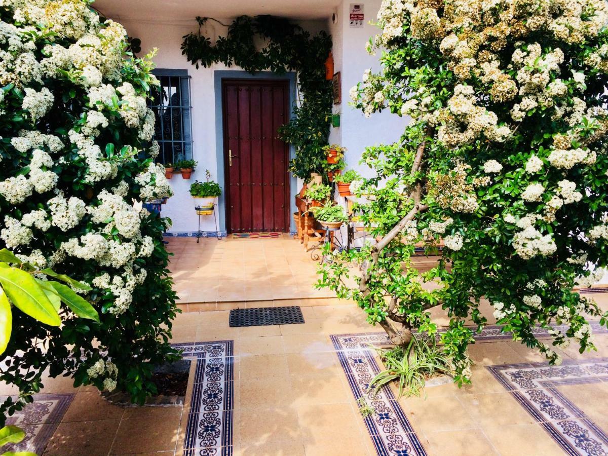 Villa Ferrer Sevilla Ginés Exteriér fotografie