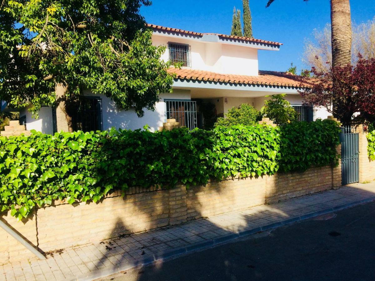 Villa Ferrer Sevilla Ginés Exteriér fotografie